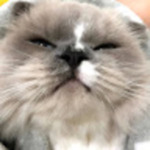 Meet your Posher, Jaehui